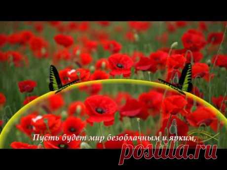 САМОЕ КРАСИВОЕ ПОЗДРАВЛЕНИЕ С ДНЁМ РОЖДЕНИЯ ИЗ МАКОВ!