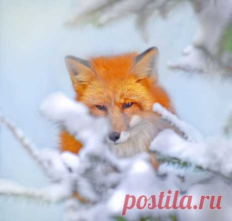 Привет из России!