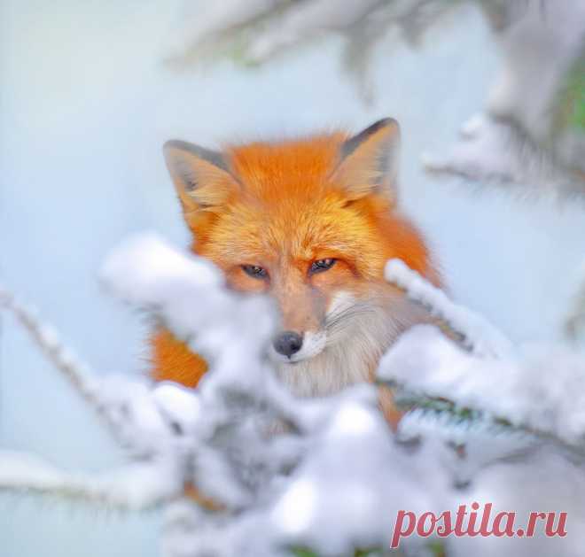 Привет из России!