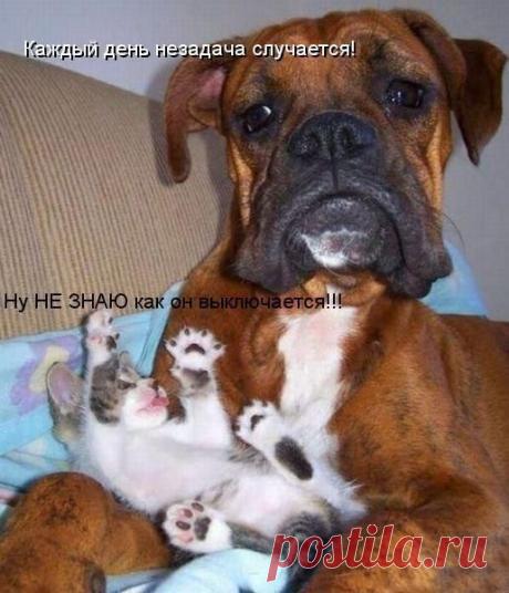 Маленький шалун.