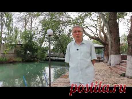 Видеолекторий «Ферганы.Ру»: Дорога на Чимган
