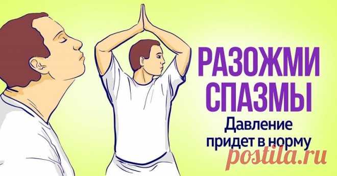 Полный комплекс гимнастики для шеи и не только