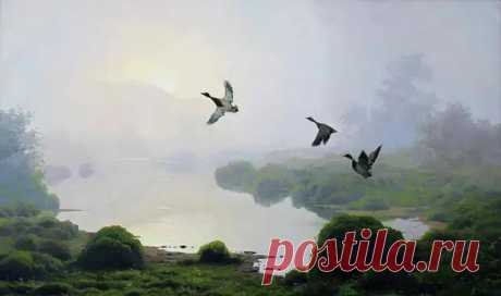 Художник Владимир Фёдоров. Ощущение Красоты. - Искусство - медиаплатформа МирТесен