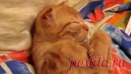 (19) Одноклассники