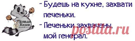 Правда жизни...Юмор в картинках. (часть 26)..