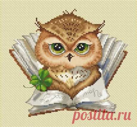 My Favorite Book - Owlet by Inga Paltser