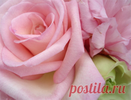 (6) Facebook