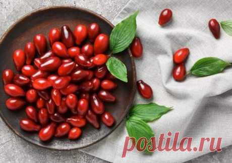 Заготовки из кизила на зиму: золотые рецепты от «Едим Дома» - Будет вкусно - Медиаплатформа МирТесен Кизил — ценный источник витаминов и полезных веществ. В 100 г ярко-красной мякоти содержится 27% от суточной нормы витамина С, а также много железа, калия, кремния и марганца. Кисло-сладкие плоды отлично тонизируют, помогают справиться с дефицитом энергии и авитаминозом. Хозяйки охотно - 22 августа - 43380979439 - Медиаплатформа МирТесен