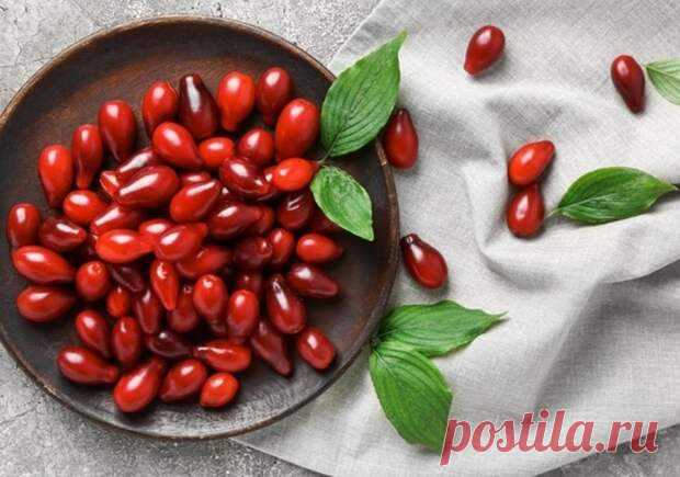 Заготовки из кизила на зиму: золотые рецепты от «Едим Дома» - Будет вкусно - Медиаплатформа МирТесен Кизил — ценный источник витаминов и полезных веществ. В 100 г ярко-красной мякоти содержится 27% от суточной нормы витамина С, а также много железа, калия, кремния и марганца. Кисло-сладкие плоды отлично тонизируют, помогают справиться с дефицитом энергии и авитаминозом. Хозяйки охотно - 22 августа - 43380979439 - Медиаплатформа МирТесен