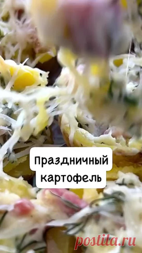 (4) Одноклассники
