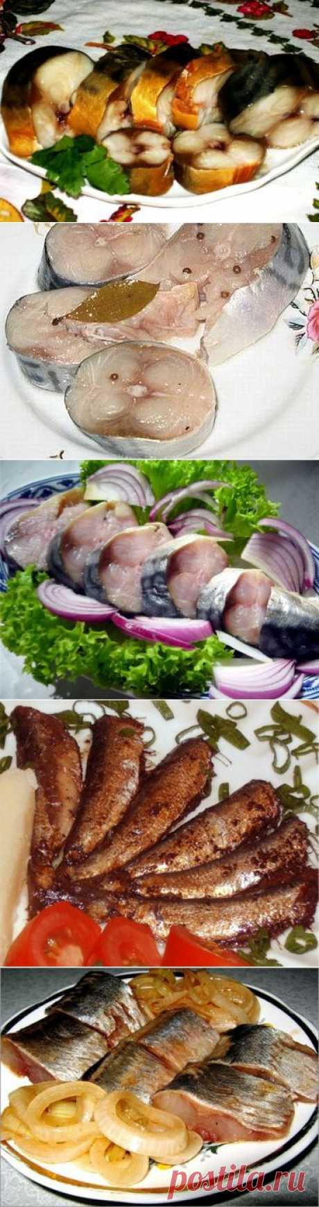 Солёная, маринованная, копчёная рыбка легко! Самые вкусные рецепты!