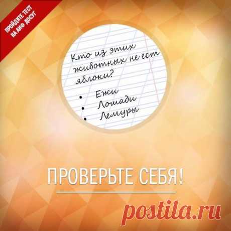 Facebook
Яблоко - одно из самых упоминаемых плодов в древней мифологии и легендах. Что вы знаете об этих фруктах? Ответьте на вопросы нашего теста https://www.aif.ru/dosug/article/68065