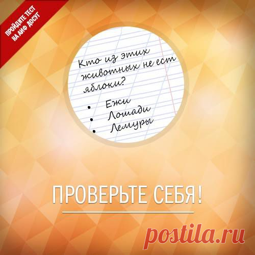 Facebook
Яблоко - одно из самых упоминаемых плодов в древней мифологии и легендах. Что вы знаете об этих фруктах? Ответьте на вопросы нашего теста http://www.aif.ru/dosug/article/68065