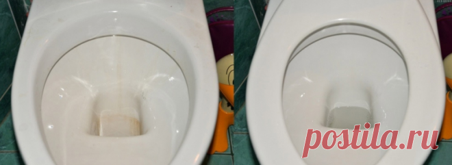 Легко очистила унитаз от желтого налета. Прямо как новый. Рассказываю, что делала | На Своём Веку | Яндекс Дзен