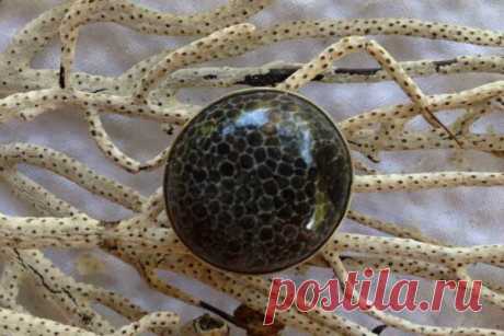 Черный коралл: украшения, магические свойства, кому камень подходит по знаку зодиака, добыча и способы обработки, цена