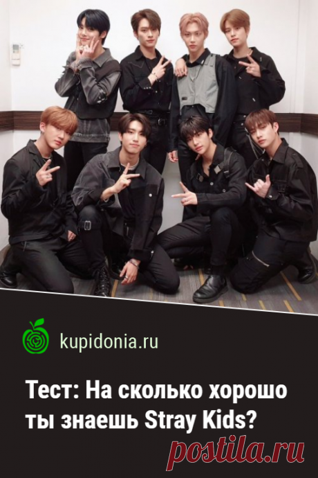 Тест: На сколько хорошо ты знаешь Stray Kids?. Развлекательный тест южнокорейском бой-бэнде. Проверь свои знания!