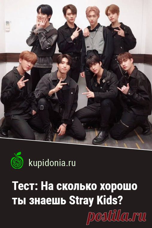 Тест: На сколько хорошо ты знаешь Stray Kids?. Развлекательный тест южнокорейском бой-бэнде. Проверь свои знания!