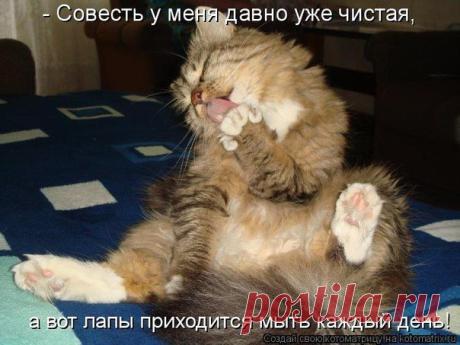 Интересные новости