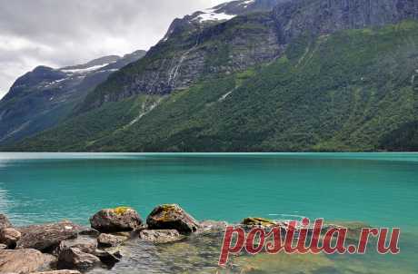 Lovatnet - Поиск в Google