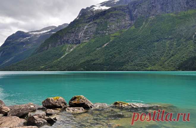 Lovatnet - Поиск в Google