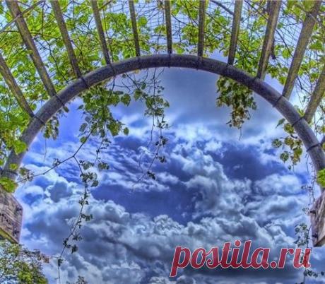 Садовые Арки + мастер класс по изготовлению Шпалеры Для Цветов