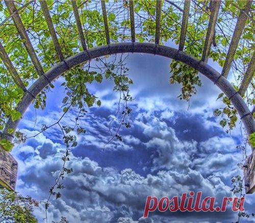 Садовые Арки + мастер класс по изготовлению Шпалеры Для Цветов