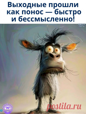 Выпуск №6704 - выпуск анекдотов сайта вокруг смеха