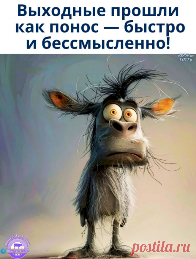 Выпуск №6704 - выпуск анекдотов сайта вокруг смеха