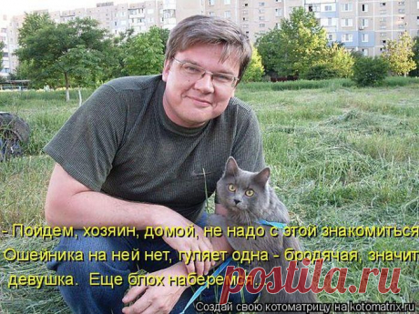 Лучшие котоматрицы. Очередная порция позитива для вас!)))