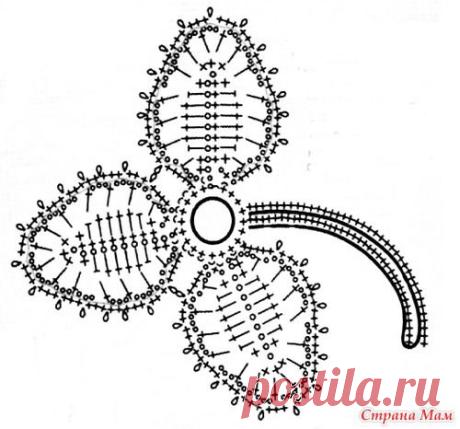 Ирландия, трилистники.