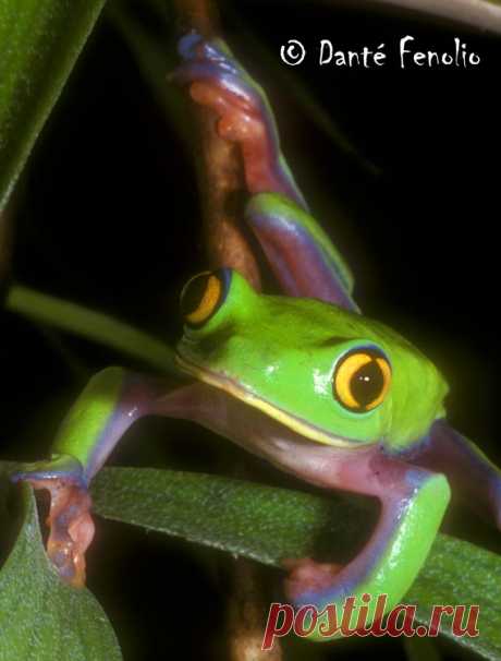 страницы которые создавались константина валерьевича сосницкого краснодар: 10 тыс изображений найдено в Яндекс.Картинках