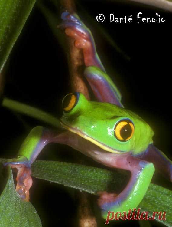 страницы которые создавались константина валерьевича сосницкого краснодар: 10 тыс изображений найдено в Яндекс.Картинках