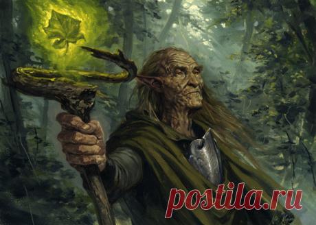 Маги пробуждаются! По древней легенде, 1000 назад умерли 4 величайших мага, маги эти должны вернуться. Предание гласит, пробуждение их окажет влияние на жителей планеты