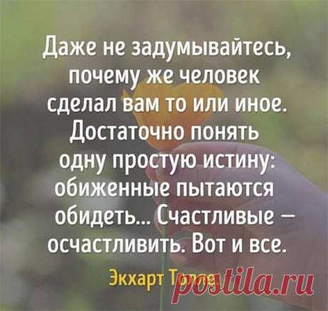 Светлана Роткина