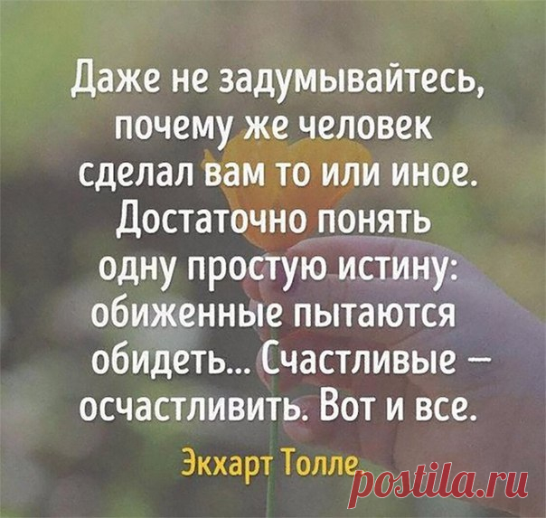 Светлана Роткина