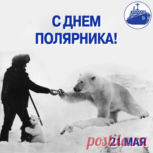Россия день полярника сегодня отмечает,
Героев своих настоящих сердечно поздравляет!