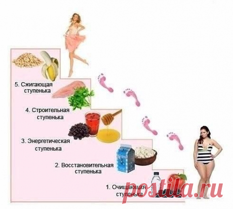 «ЛЕСЕНКА» - СТУПЕНЧАТАЯ ДИЕТА