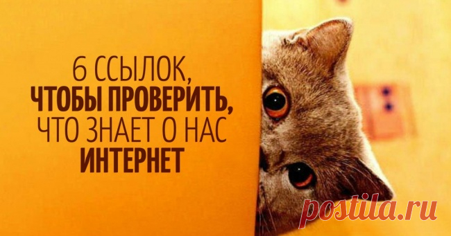 Внимание всем !!! 6 ссылок, чтобы проверить, что знает о каждом из нас интернет
