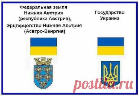 ПРОЗРЕВШИЙ УКРАИНЕЦ 
Первое, что я открыл для себя — это то, что я действительно не знаю истории страны, в которой прожил 23 года. К моему удивлению наш флаг оказался флагом Нижней Австрии, а гимн — украденное у поляков «Ещё Польша не погибла». История древней Укропии — извращенная, ворованная, тысячелетняя история Руси. Ведь до революции 1917 года ни такого государства, ни такой национальности из покон веков никогда не существовало. Но лишь приграничная полоса территорий между Россией и Поль