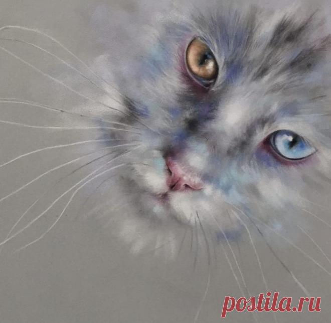 Группы | Facebook