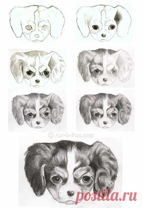 How to Draw a Puppy: Learn How to Draw Puppies! — Art is Fun