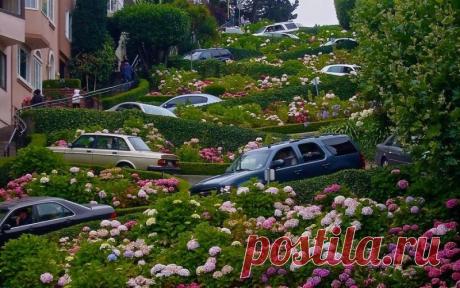 Ломбард-стрит - самая кривая улица в мире, Сан-Франциско