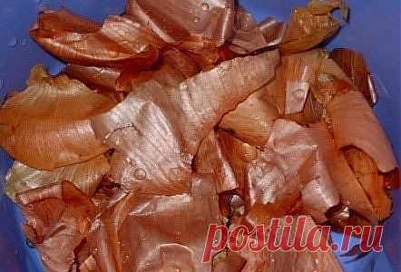 Сало в луковой шелухе | Готовим вместе