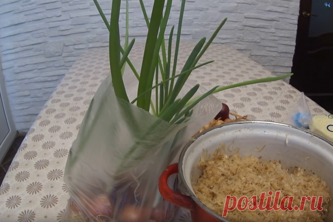 Выращиваем зелень без земли Выращивать свежую зелень можно хоть круглый год.