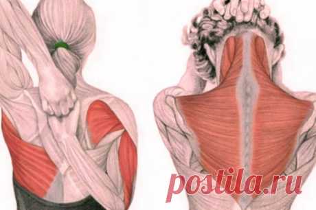 Упражнения для шеи от зажимов и от давления.... Упражнения для шеи освобождают от зажимов и нормализуют давление! Эти упражнения предназначены для расслабления напряжённых мышц шеи и все вместе должны занимать 4–5 минут в день. Если их выполнять регулярно (лучше по утрам), то вскоре наступит расслабление мышц шеи и верхней части спины, что...