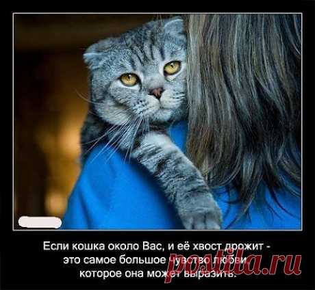 - а Вы и не догадываетесь....