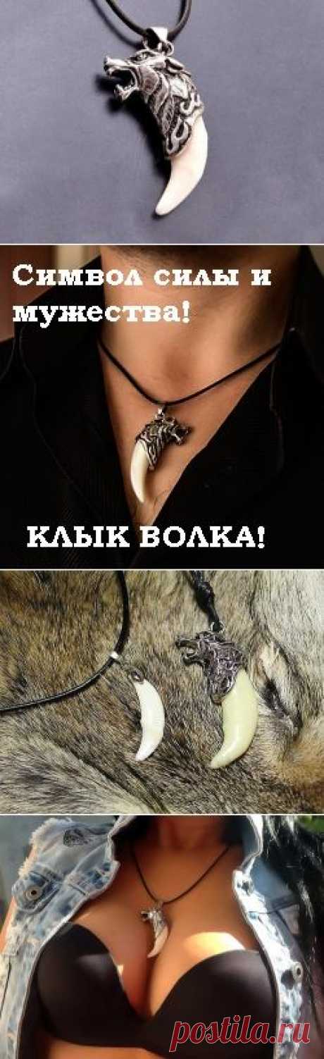 Амулет клык волка