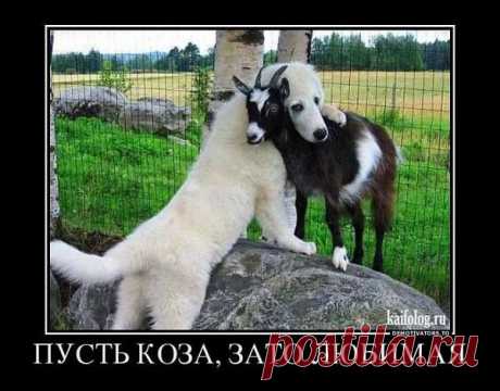 (125) Игорь Петров