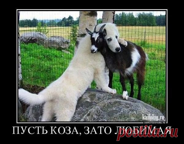 (125) Игорь Петров