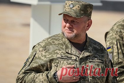 Залужный опередил Зеленского по рейтингу доверия украинцев. Главнокомандующий ВСУ Валерий Залужный опережает по рейтингу украинского президента Владимира Зеленского, сообщает украинский портал «Информатор». Украинскому главкому «целиком доверяют» 63 процента респондентов против 39 процентов опрошенных, заявивших о таком же доверии Зеленскому.